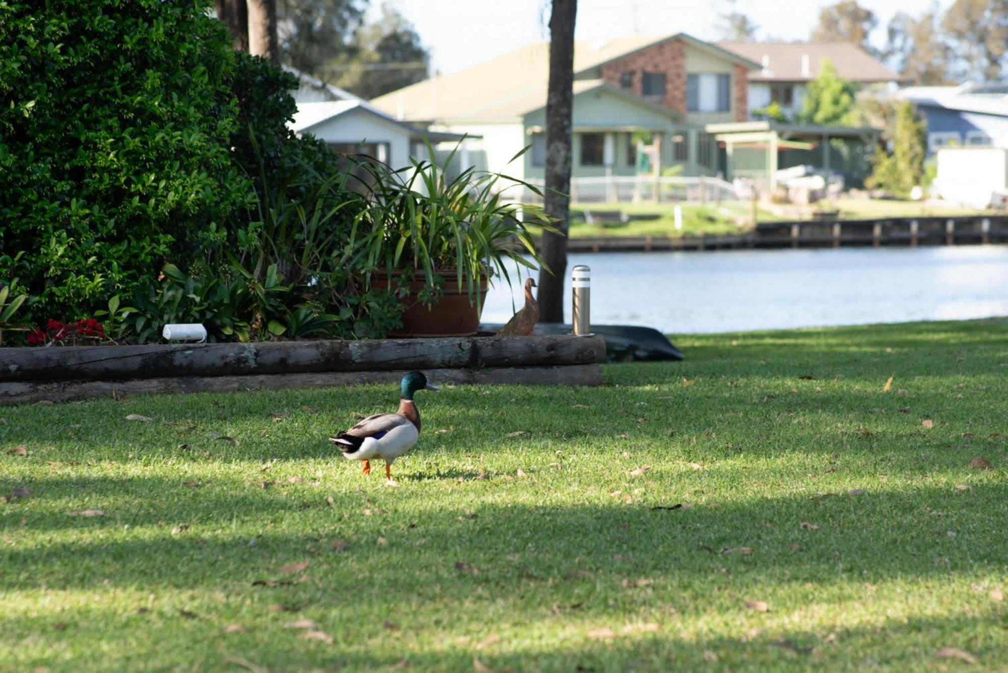 Riverside Splendour Chittaway Point Exterior foto